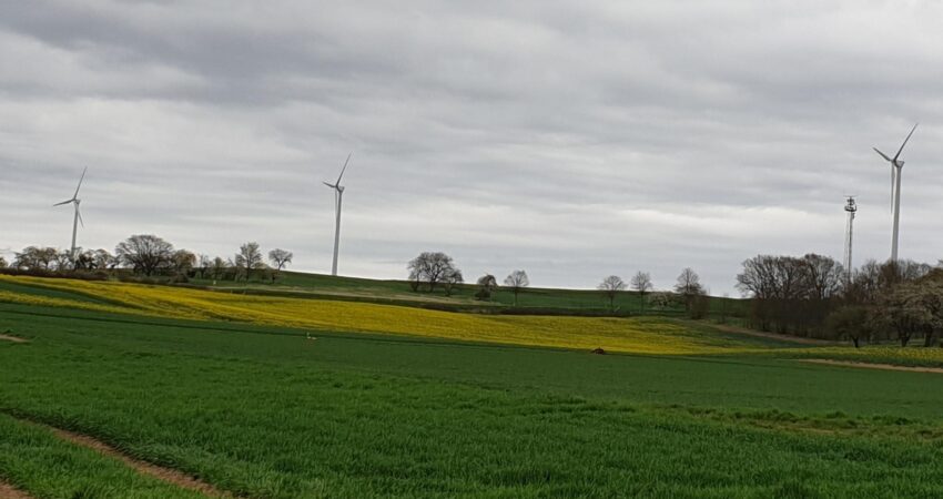 Falsche Richtung bei der Klima- und Sicherheitspolitik